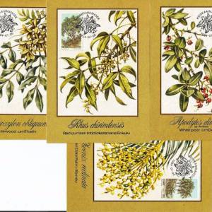 CISKEI, Flowers, four maximum card, 1984.